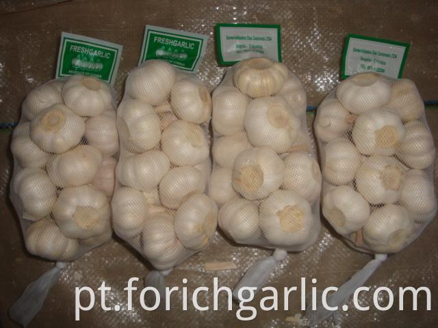 4 5cm Pure White Garlic